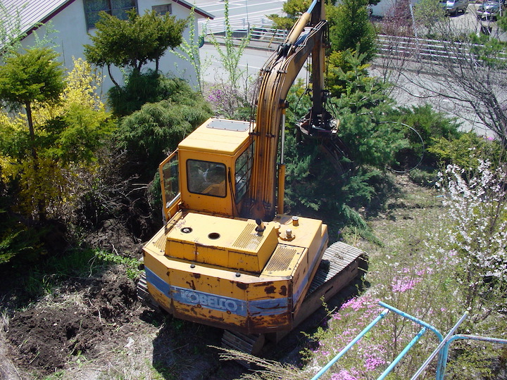 庭木の撤去