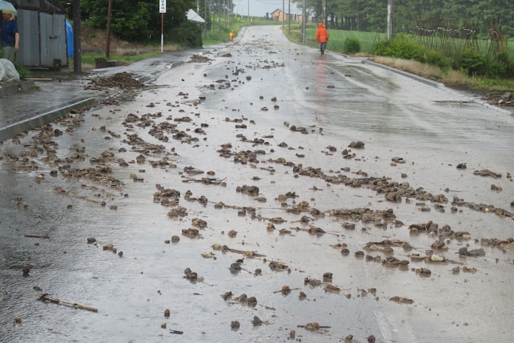 降雨水害