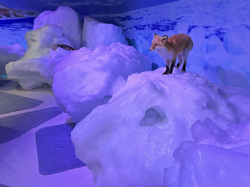 オホーツク流氷館