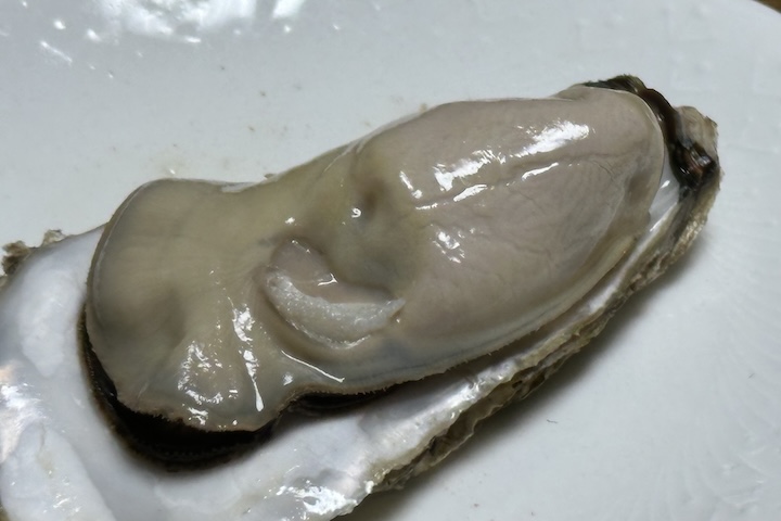 仙鳳趾牡蠣