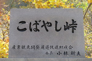 こばやし（こばやし）峠