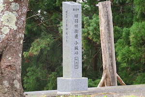 小坂（こさか）峠