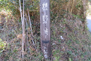 椎野（しいの）峠