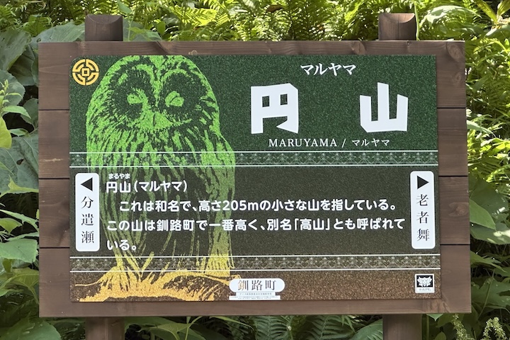 円山