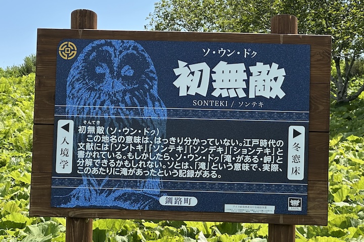初無敵