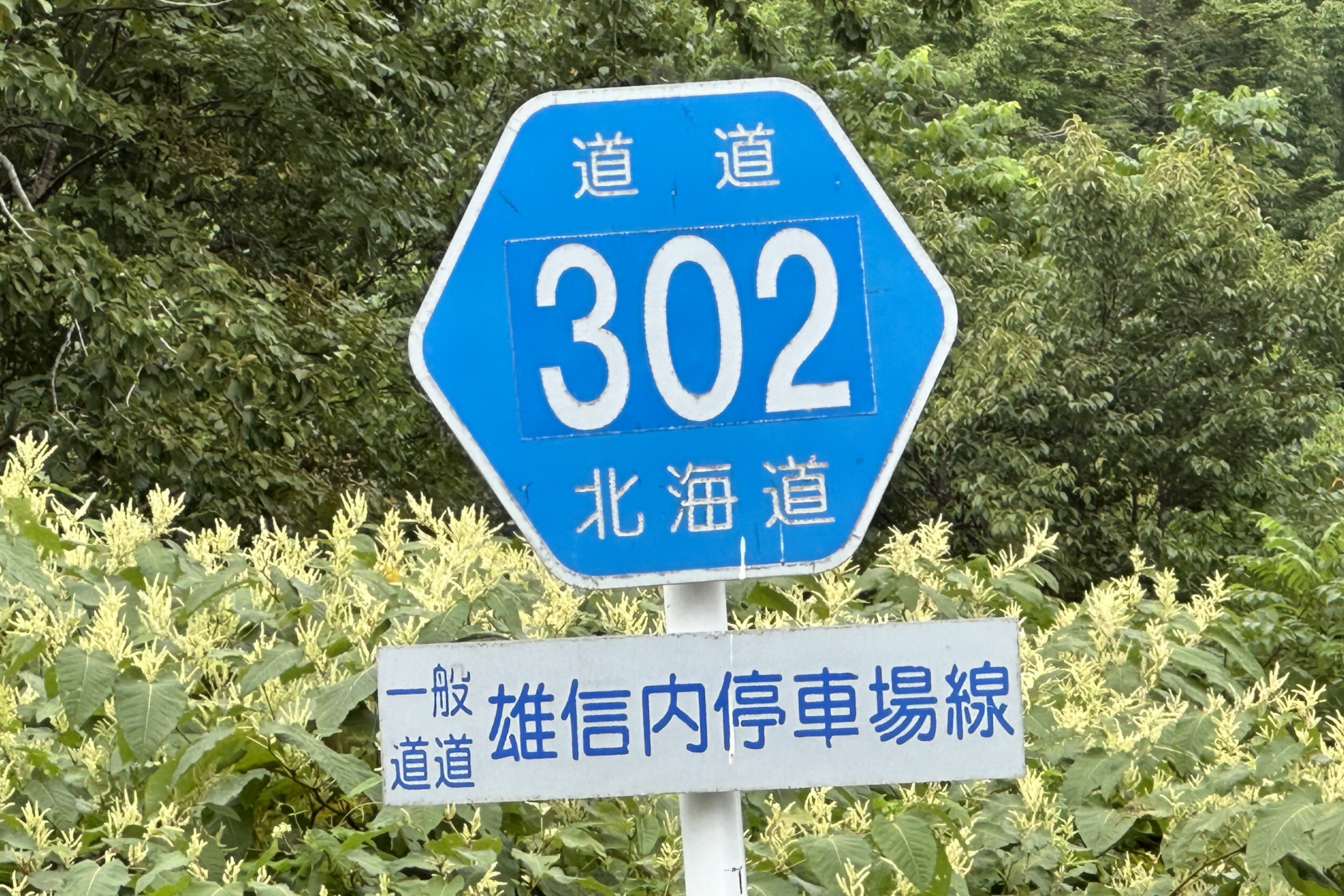 道道0302号線