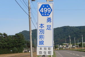 道道0499号線