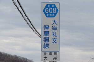 道道0608号線