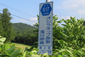 道道0617号線