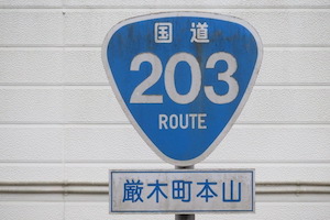 国道203号線