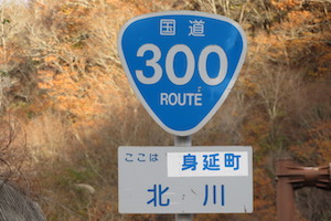 国道300号線