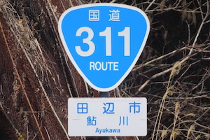 国道311号線