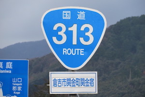 国道313号線