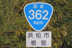 国道362号線