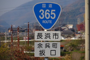 国道365号線