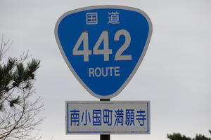 国道442号線