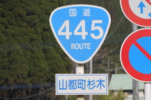 国道445号線