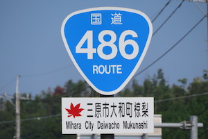 国道486号線