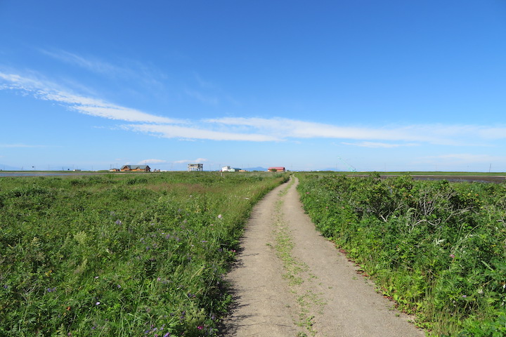 トドワラ遊歩道