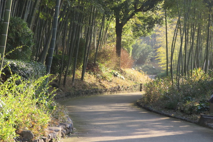 竹林園の遊歩道（熊本県）