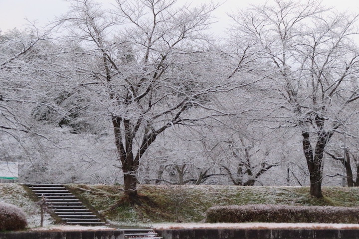 道の駅喜多の郷の雪景色