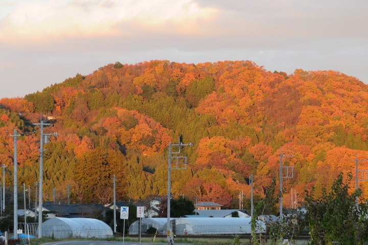 道の駅常陸大宮の紅葉