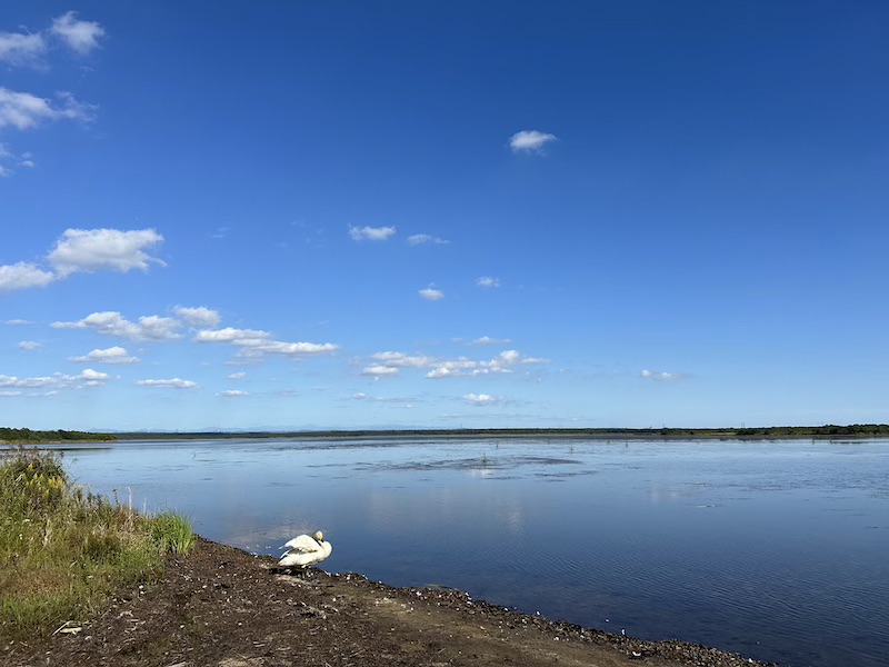 ウトナイ湖