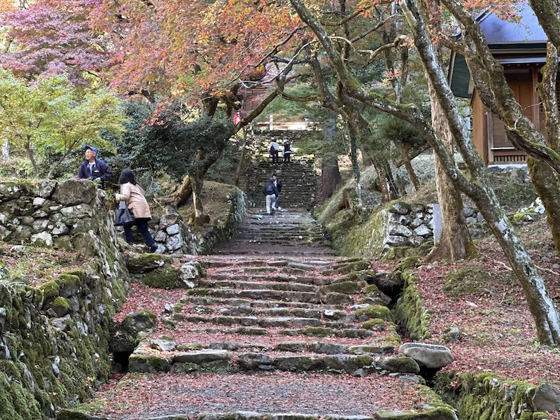 鶏足寺の紅葉