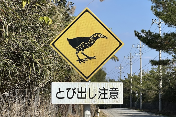 転倒損傷画像