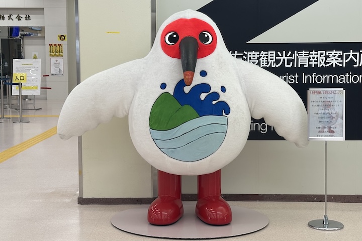 サドッキー